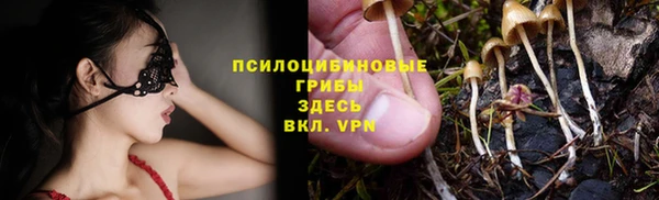 экстази Пересвет