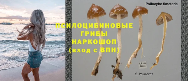 скорость Алексин
