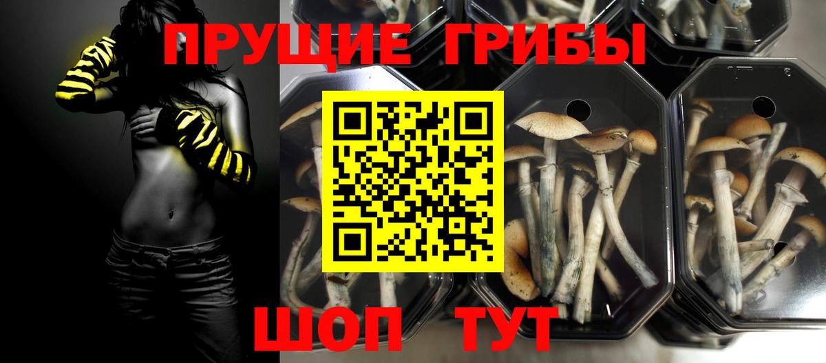 Галлюциногенные грибы MAGIC MUSHROOMS Белгород